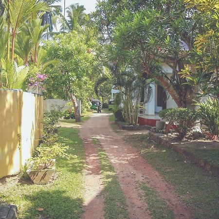 Hikka Surf Hostel ヒッカドゥワ エクステリア 写真