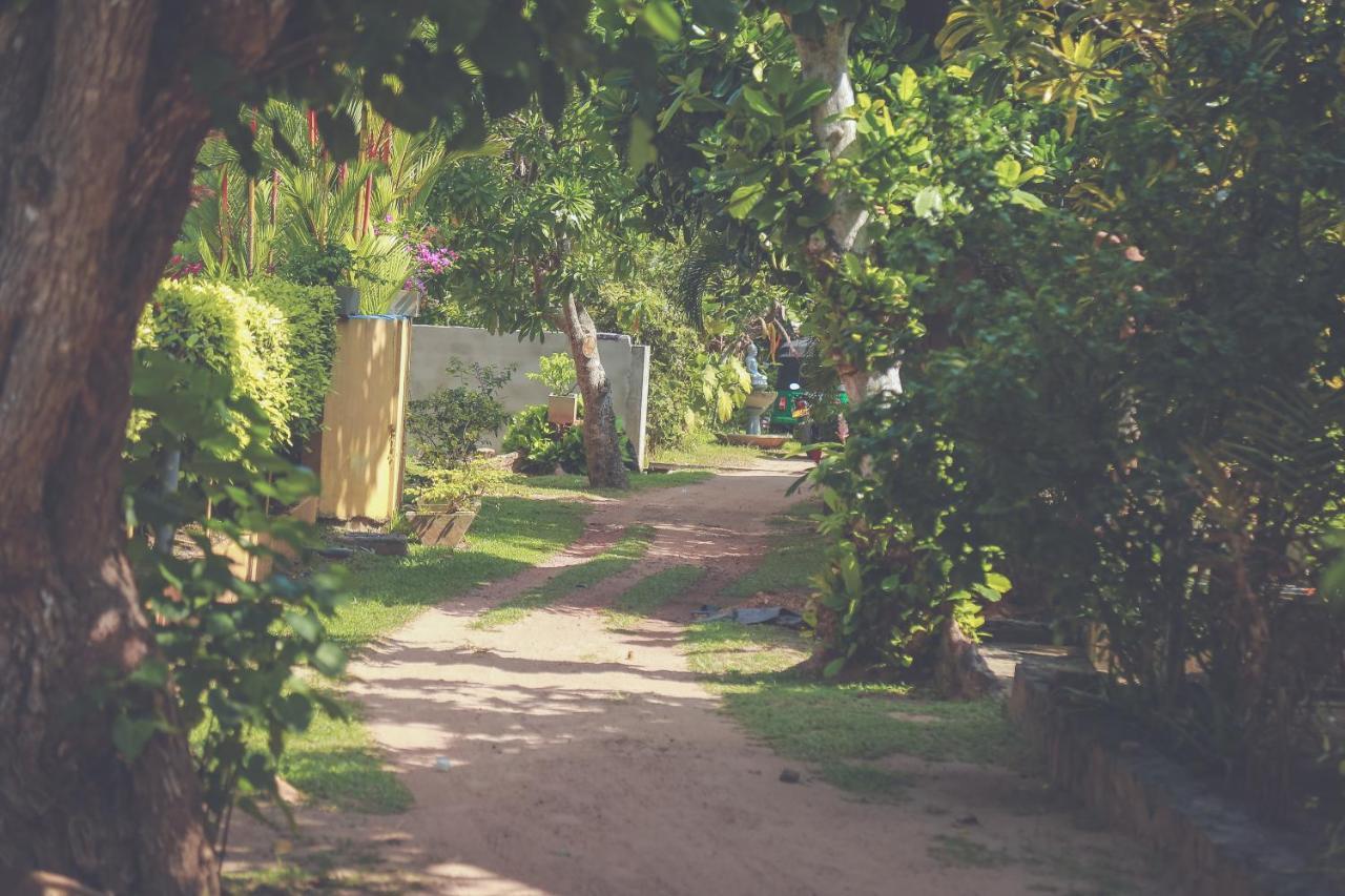 Hikka Surf Hostel ヒッカドゥワ エクステリア 写真